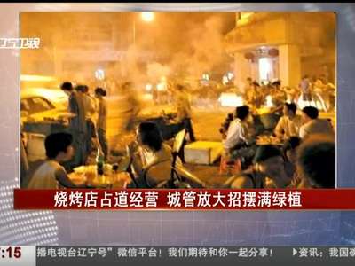 [视频]烧烤店占道经营 城管放大招摆满绿植