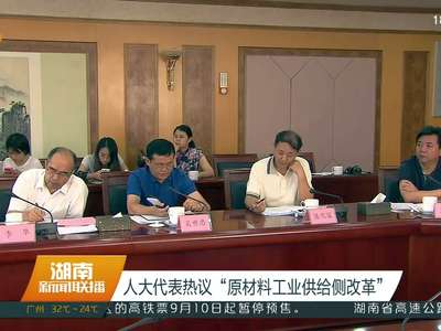 人大代表热议“原材料工业供给侧改革”