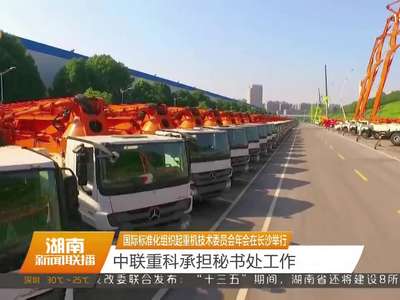 国际标准化组织起重机技术委员会年会在长沙举行 