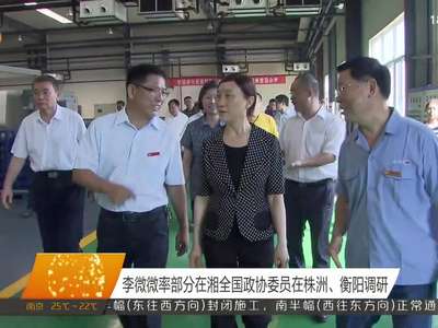 李微微率部分在湘全国政协委员在株洲、衡阳调研