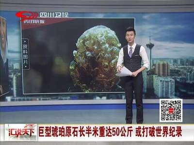 [视频]巨型琥珀原石长半米重达50公斤 或打破世界纪录