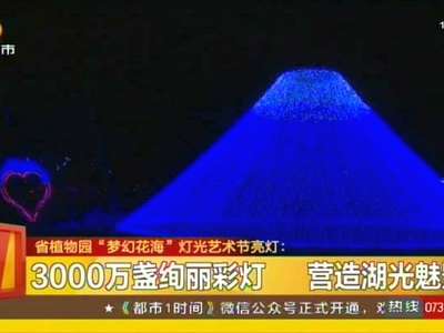 省植物园“梦幻花海”灯光艺术节亮灯 营造湖光魅影