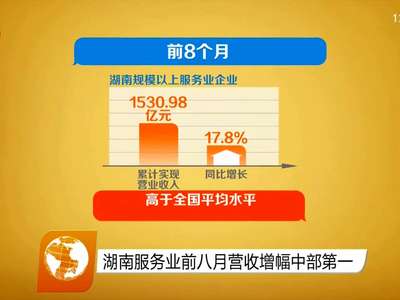 湖南服务业前八月营收增幅中部第一