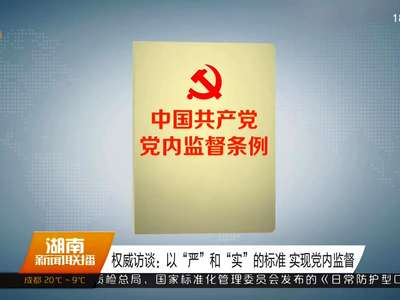 权威访谈：以“严”和“实”的标准 实现党内监督