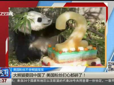 [视频]大熊猫要回中国了 美国粉丝们心都碎了！