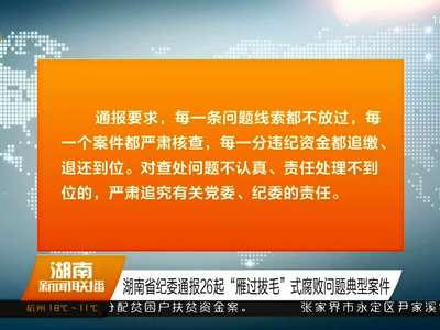 湖南省纪委通报26起“雁过拔毛”式腐败问题典型案件
