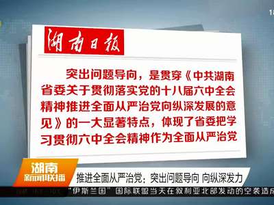 推进全面从严治党：突出问题导向 向纵深发力
