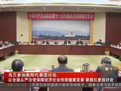 乌兰参加衡阳代表团讨论：以全面从严治党保障经济社会持续健康发展 蔡振红参加讨论
