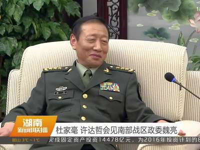 杜家毫 许达哲会见南部战区政委魏亮