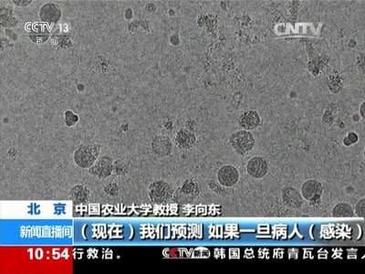[视频]中国专家：寨卡病毒或致男性不育