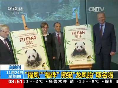 [视频]奥地利：“福凤”“福伴” 熊猫“龙凤胎”取名啦
