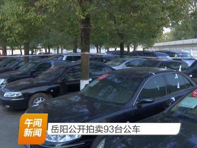岳阳公开拍卖93台公车