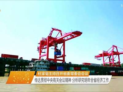 杜家毫主持召开省委常委会会议 传达贯彻中央有关会议精神 分析研究明年全省经济工作