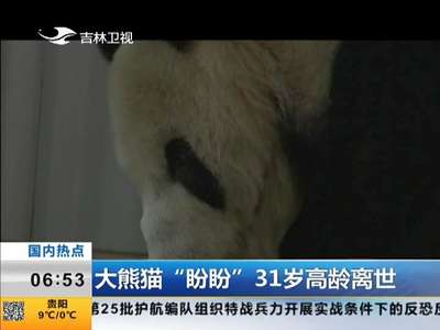 [视频]最高龄大熊猫“盼盼”逝世 因患肿瘤去世享年31岁