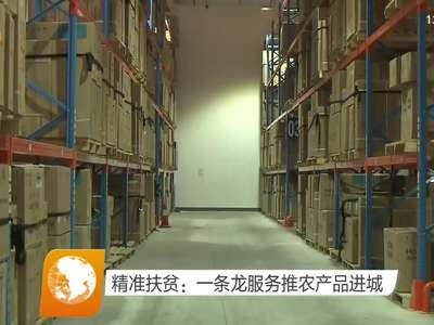 精准扶贫：一条龙服务推农产品进城