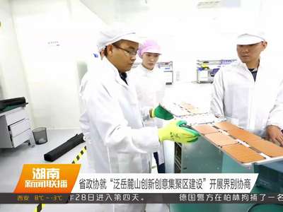 省政协就“泛岳麓山创新创意集聚区建设”开展界别协商