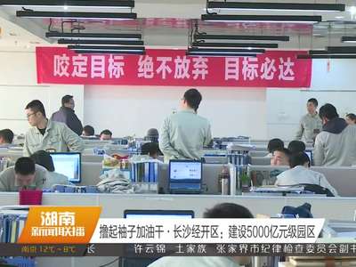 撸起袖子加油干·长沙经开区：建设5000亿元级园区
