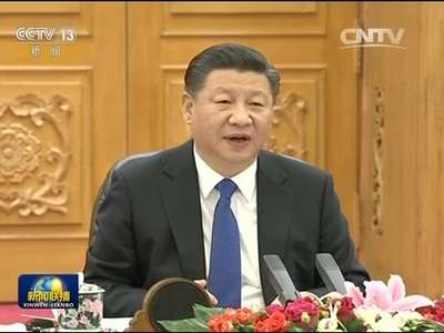 [视频]习近平同越共中央总书记举行会谈