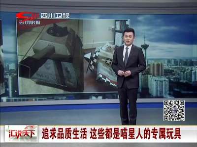 [视频]追求品质生活 这些都是喵星人的专属玩具