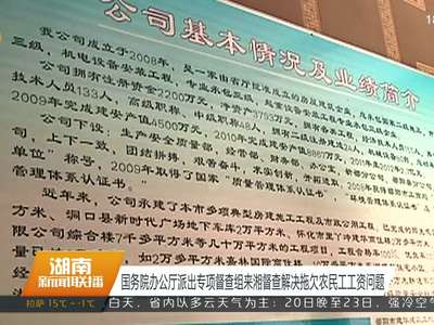国务院办公厅派出专项督查组来湘督查解决拖欠农民工工资问题