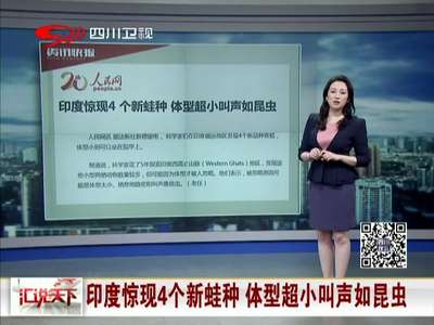 [视频]印度惊现4个新蛙种 体型超小叫声如昆虫