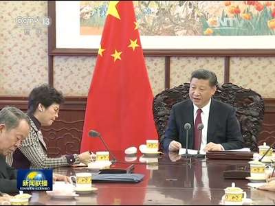 [视频]习近平会见林郑月娥