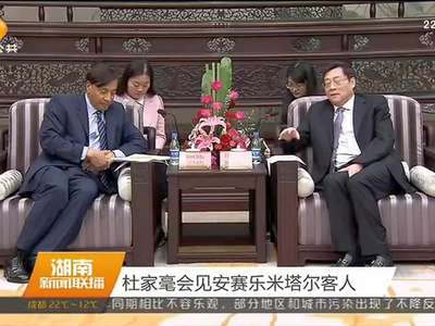 杜家毫会见安赛乐米塔尔客人