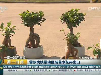[视频]一带一路新商机：蓉欧快铁带动区域苗木花卉出口