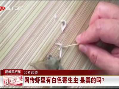 [视频]记者调查：网传虾里有白色寄生虫 是真的吗？