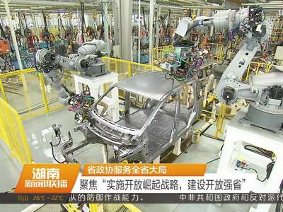 省政协服务全省大局 聚焦“实施开放崛起战略，建设开放强省”