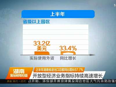 上半年湖南省进出口总额同比增长67.7%