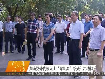 湖南党外代表人士“零距离”感受红岩精神