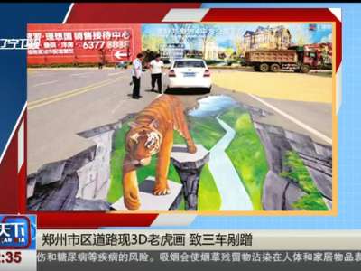 [视频]郑州市区道路现3D老虎画 致三车剐蹭