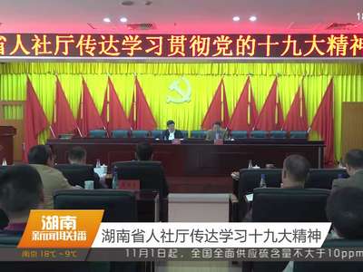 湖南省人社厅传达学习十九大精神