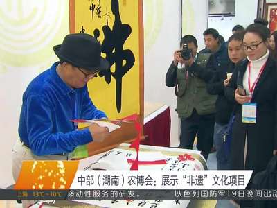 中部（湖南）农博会：展示“非遗”文化项目