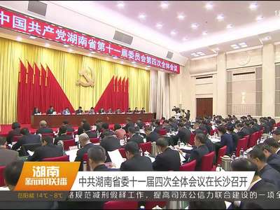 中共湖南省委十一届四次全体会议在长沙召开