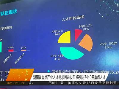 湖南省重点产业人才需求目录发布 将引进7440名重点人才