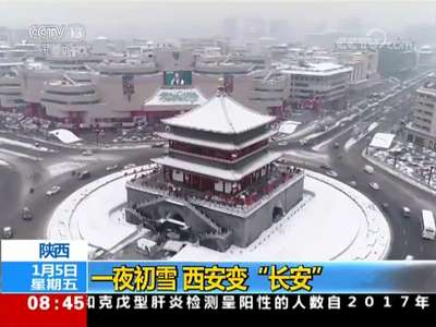 [视频]一夜初雪 西安变“长安”