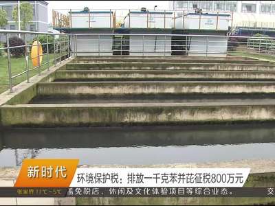 环境保护税：排放一千克苯并芘征税800万元