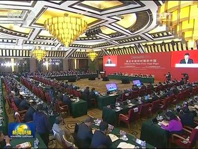 [视频]张高丽出席中国发展高层论坛开幕式
