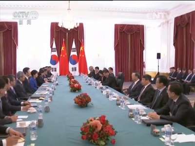 [视频]习近平会见韩国总统