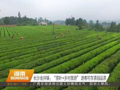 长沙金井镇：“茶叶+乡村旅游”游客可在茶园品茶