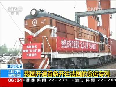 [视频]湖北武汉：我国开通首条开往法国的货运专列