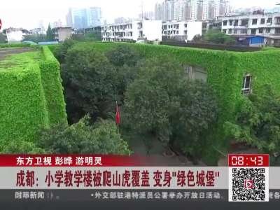 [视频]爬山虎覆盖小学教学楼 变身“绿色城堡”