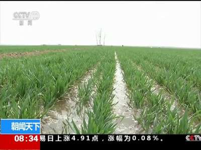 [视频]国家防总：南方降水偏多 北方旱情发展迅速