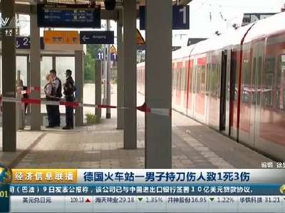 [视频]德国火车站一男子持刀伤人致1死3伤