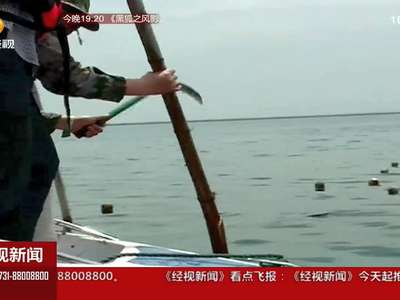 洞庭湖面乱建迷魂阵 渔政联手来拆围