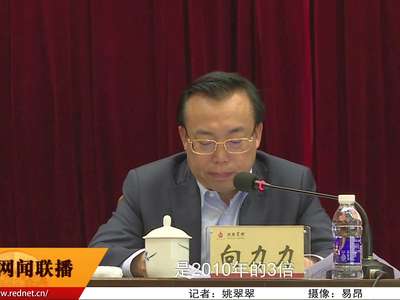 中国企业集团财务公司年会在长沙召开