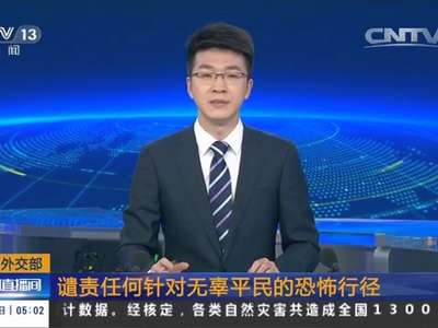 [视频]中国外交部：谴责任何针对无辜平民的恐怖行径