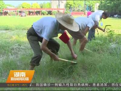 岳阳华容：两位老党员走上防汛一线